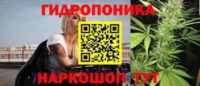 кокс Будённовск